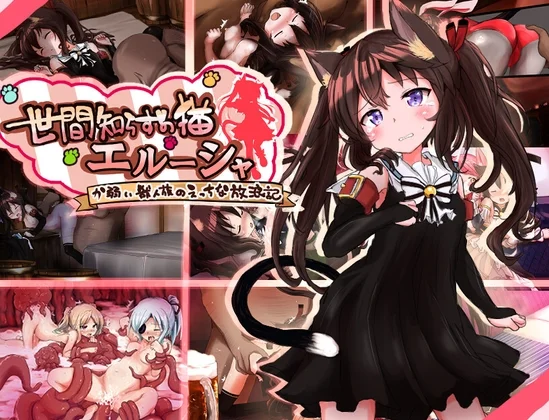 世間知らずの猫エルーシャのパッケージ画像