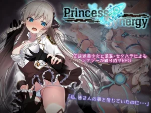 プリンセスシナジー（アトリエちょいす）のパッケージ画像
