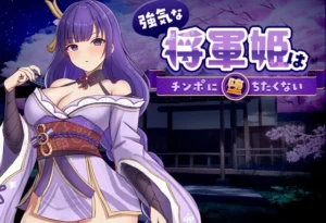 強気な将軍姫はチンポに堕ちたくない（のっふんあにめ）のパッケージ画像