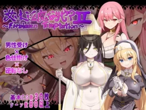 汝は淫魔なりや?II～Forbidden Temptation～（にゅうステーション）のパッケージ画像