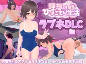 理想のひきこもり生活 ラブホDLC（猫3）のパッケージ画像