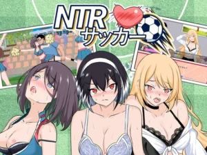 NTRサッカー（Hizure）のパッケージ画像