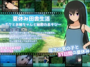夏休み田舎生活～ボクとお姉ちゃんと秘密のあそび～（てるかラボ）のパッケージ画像