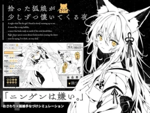 拾った狐娘が少しずつ懐いてくる夜（天国か地獄か）のパッケージ画像